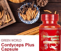 Cordyceps Plus Capsule