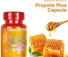Propolis Plus Capsule