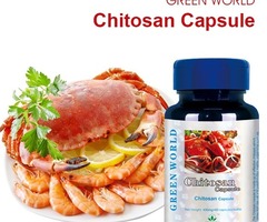 Chitosan Capsule