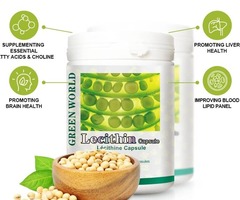 Lecithin Capsule