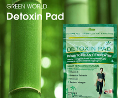 Detoxin Pad