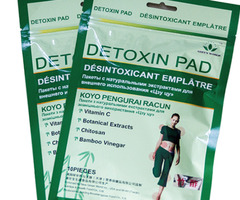 Detoxin Pad - 2